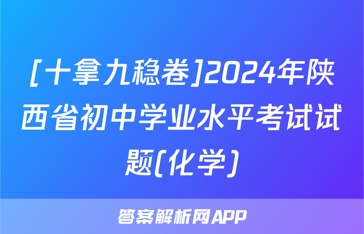 [十拿九稳卷]2024年陕西省初中学业水平考试试题(化学)