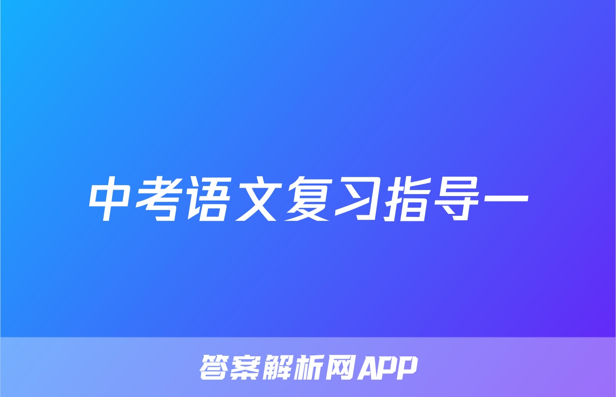中考语文复习指导一