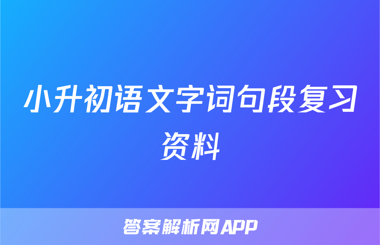 小升初语文字词句段复习资料