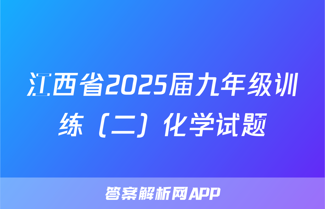 江西省2025届九年级训练（二）化学试题