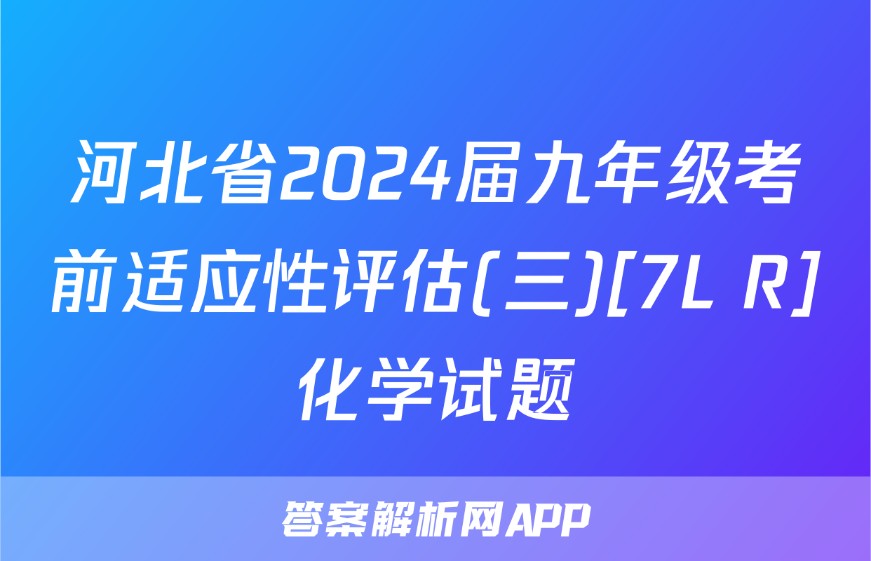 河北省2024届九年级考前适应性评估(三)[7L R]化学试题