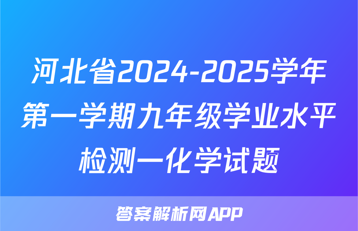 河北省2024-2025学年第一学期九年级学业水平检测一化学试题