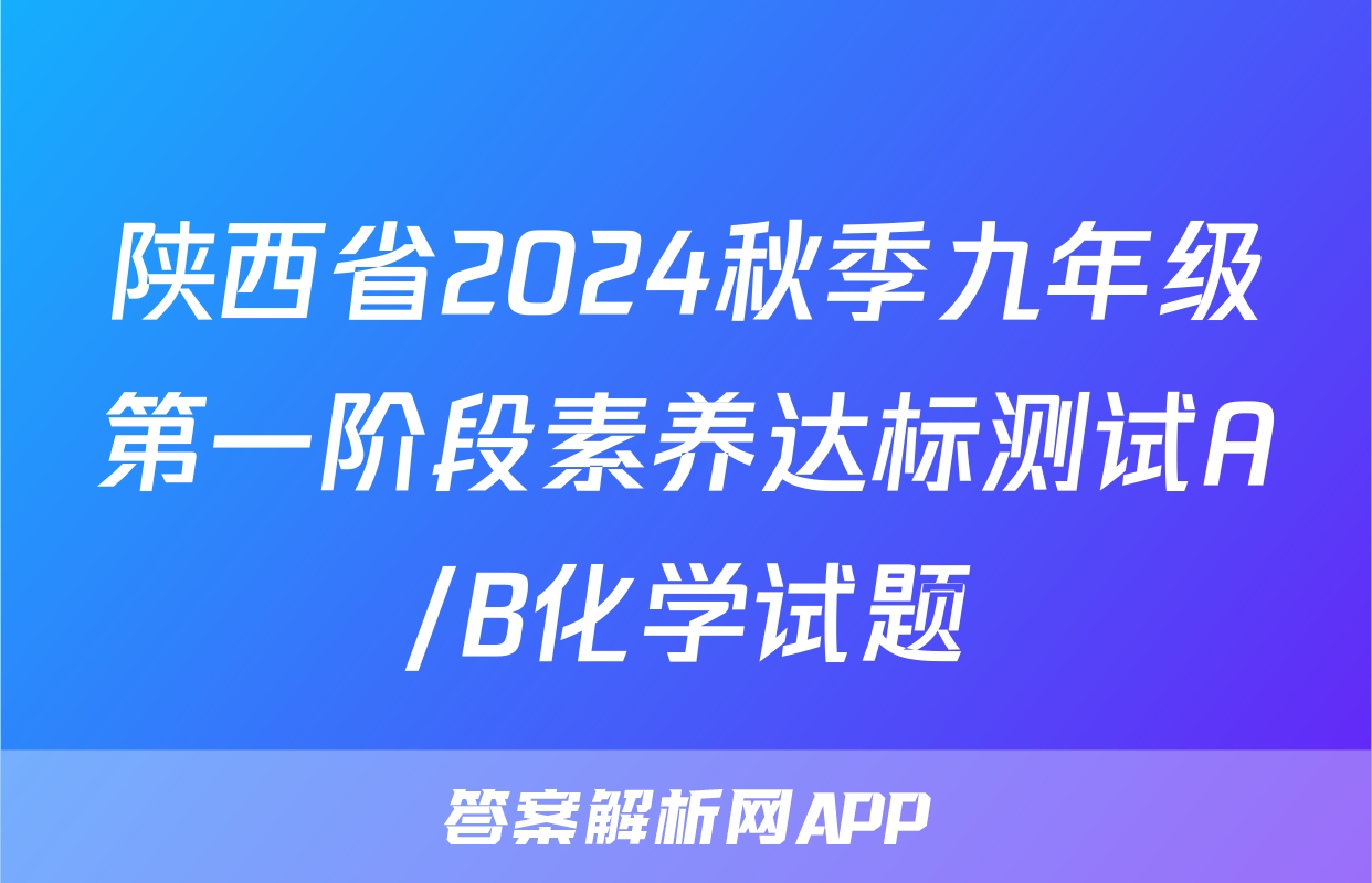 陕西省2024秋季九年级第一阶段素养达标测试A/B化学试题