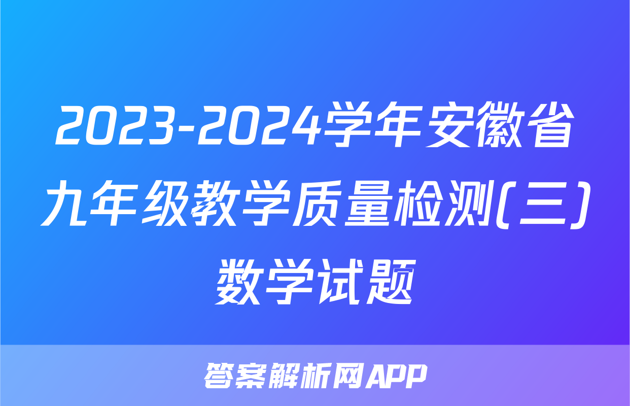 2023-2024学年安徽省九年级教学质量检测(三)数学试题