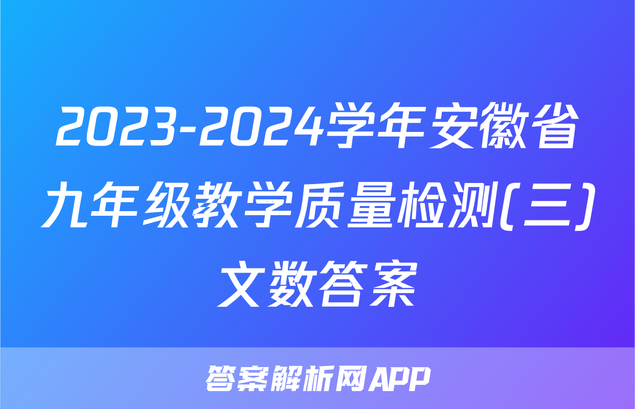 2023-2024学年安徽省九年级教学质量检测(三)文数答案