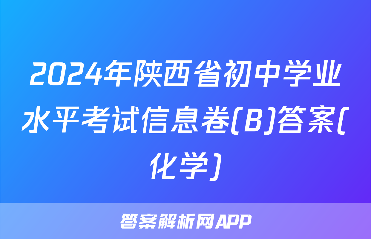 2024年陕西省初中学业水平考试信息卷(B)答案(化学)