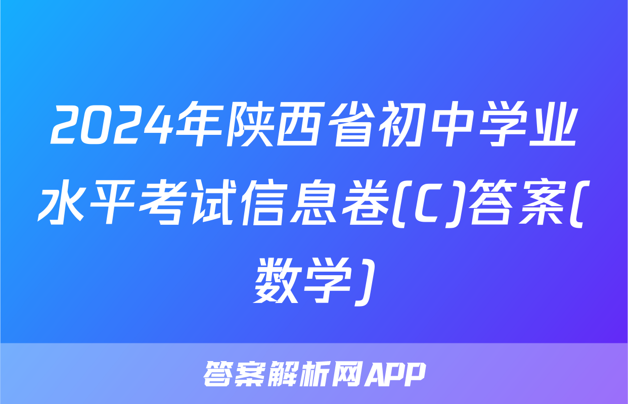 2024年陕西省初中学业水平考试信息卷(C)答案(数学)